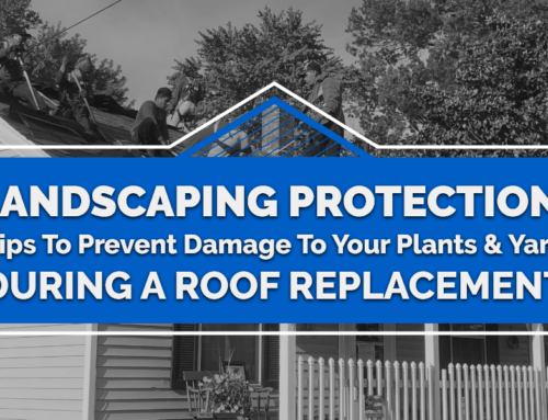 Landscaping Protection: Tips To Prevent Damage To Your Plants And Yard During A Roof Replacement