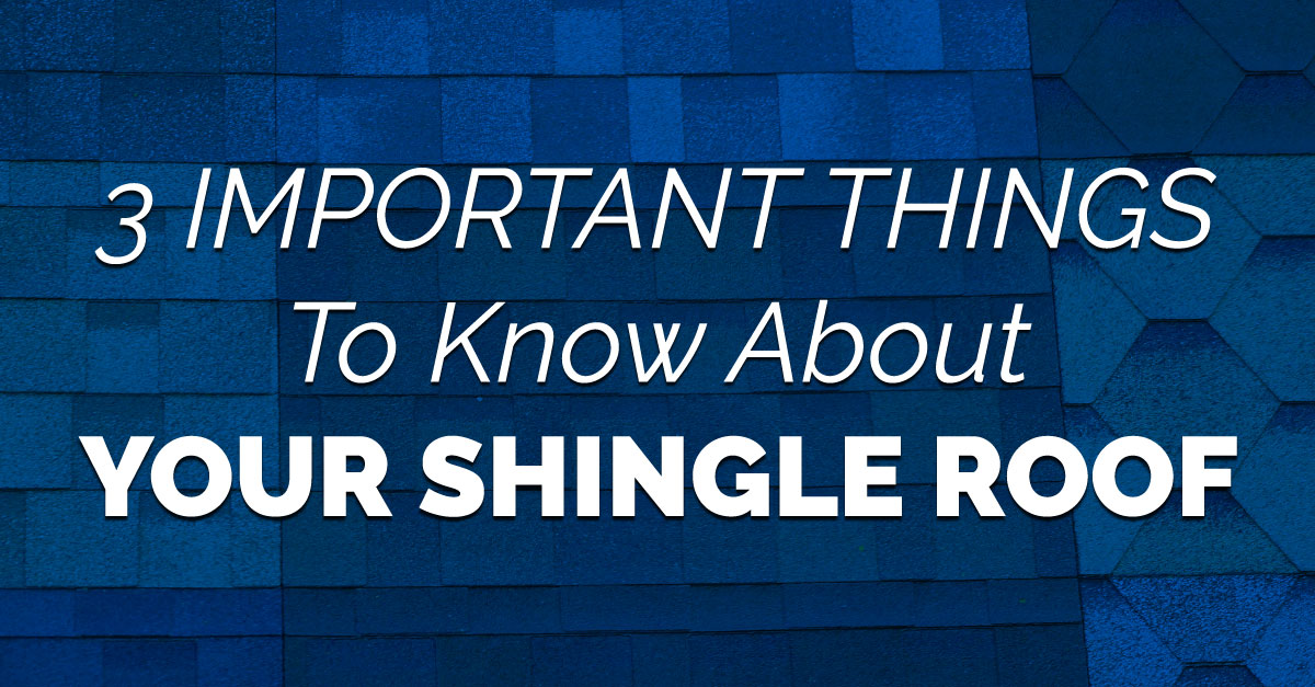 3 Important Things to Know About Your Shingle Roof 