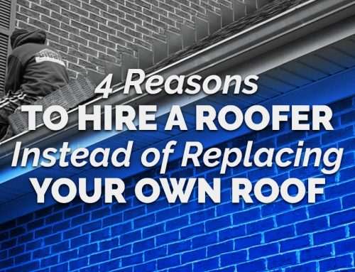 4 Reasons To Hire A Roofer Instead of Replacing Your Own Roof