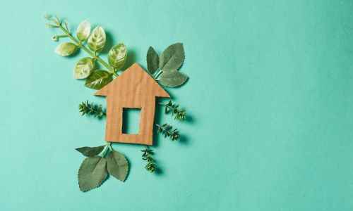 image of small wooden house with plants 