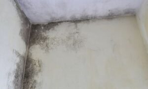 mold on ceiling caused by roof leak